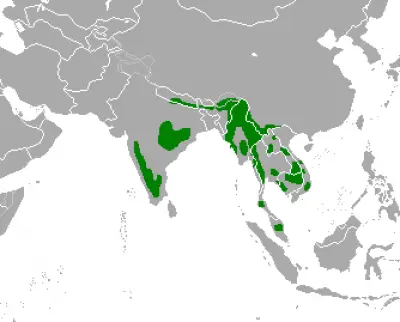 Gaur habitat map