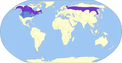 Two-barred crossbill habitat map