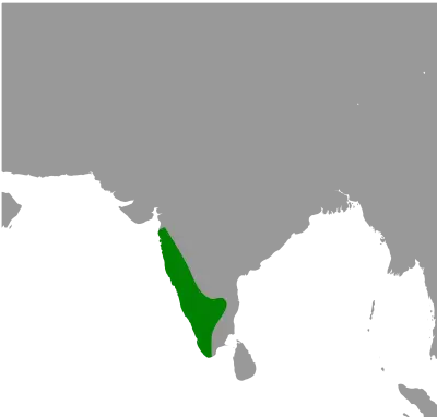 White-cheeked barbet habitat map