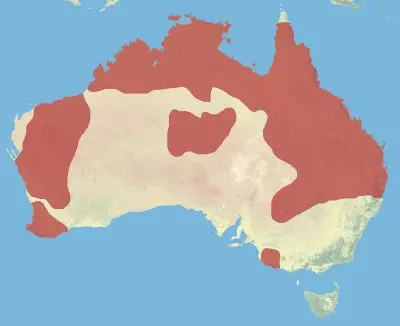 Red-Tailed Black Cockatoo habitat map