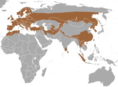 European Otter habitat map