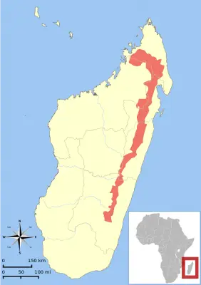 Red-Bellied Lemur habitat map