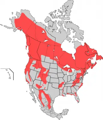 American Black Bear habitat map