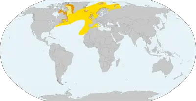 Іпатка атлантична карта середовища проживання