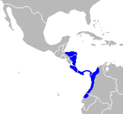 White-Headed Capuchin habitat map