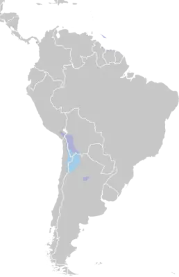 Andean Flamingo habitat map