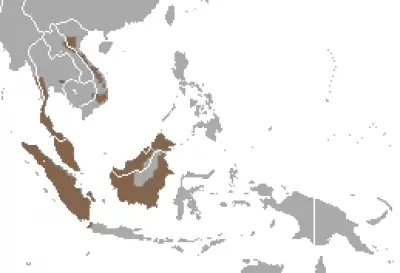 Sunda Flying Lemur habitat map