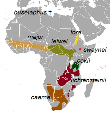 Hartebeest habitat map
