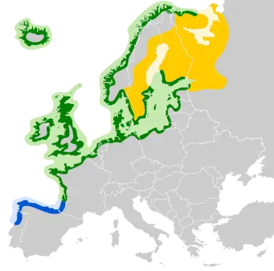 European Herring Gull habitat map