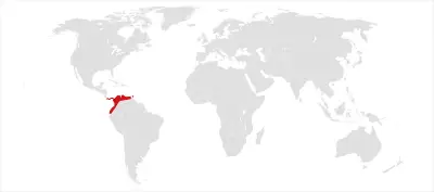 Sciurus granatensis карта середовища проживання