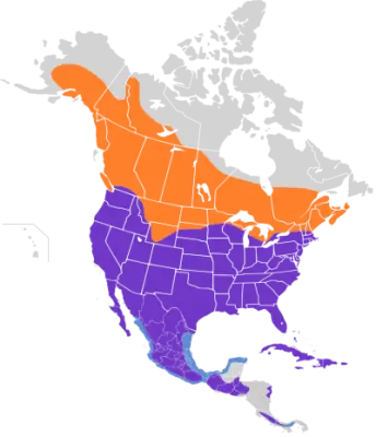 Red-Tailed Hawk habitat map