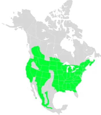 White-Breasted Nuthatch habitat map
