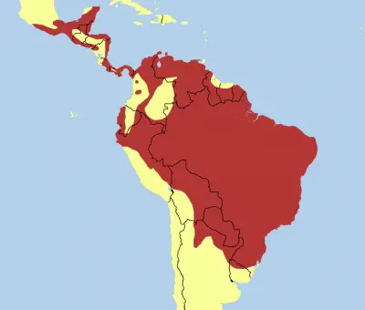 King Vulture habitat map