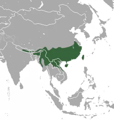 Chinese Pangolin habitat map