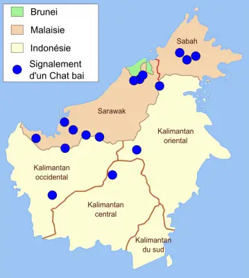 Катопума калімантанська карта середовища проживання