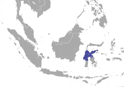 Tonkean Macaque habitat map