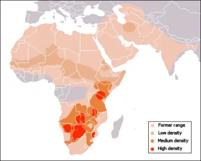Guepardo mapa del hábitat