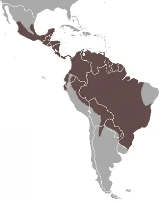 Tayra habitat map