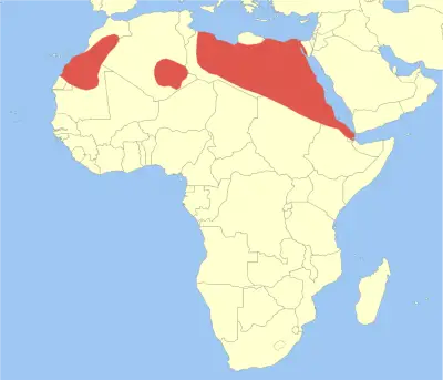 Cairo Spiny Mouse habitat map