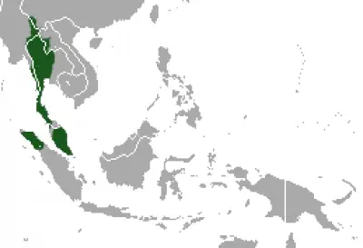 Lar Gibbon habitat map