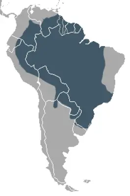 South American Coati habitat map