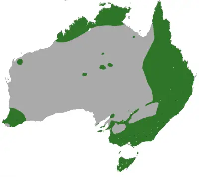 Common Brushtail Possum habitat map