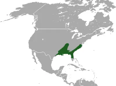 Southern Short-Tailed Shrew habitat map