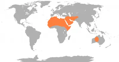 Dromedary Camel habitat map
