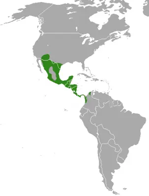 White-Nosed Coati habitat map