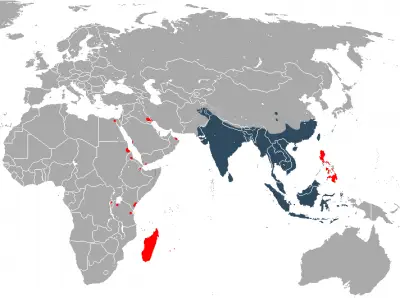 Asian House Shrew habitat map
