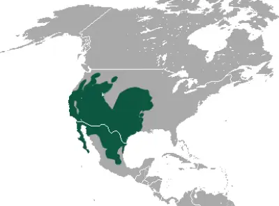 Black-Tailed Jackrabbit habitat map