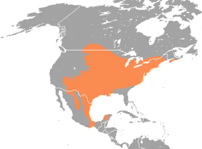 White-Footed Mouse habitat map