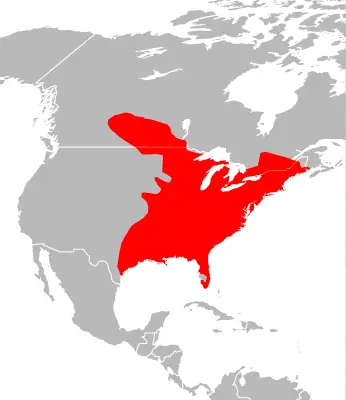  Eastern Gray Squirrel habitat map