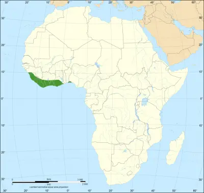 Western Green Mamba habitat map