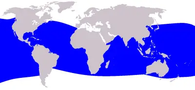 Dwarf Sperm Whale habitat map