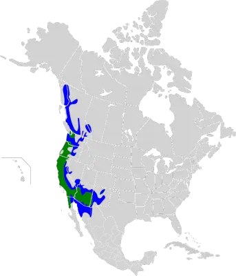 Каліпта рубіновоголова карта середовища проживання
