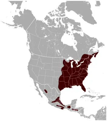 Southern Flying Squirrel habitat map