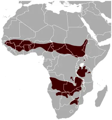 Roan Antelope habitat map