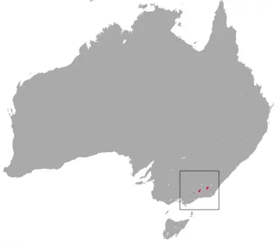 Mountain Pygmy Possum habitat map