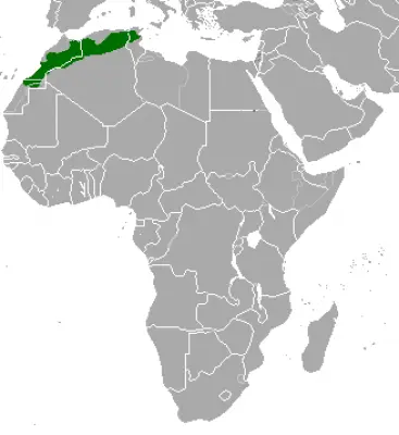 Cuvier's Gazelle habitat map