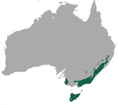 Common Wombat habitat map
