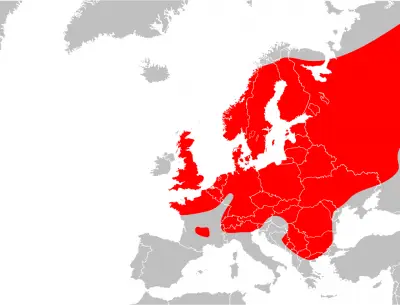 Common European Adder habitat map