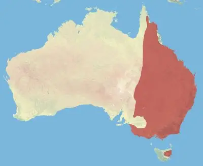 Eastern Grey Kangaroo habitat map