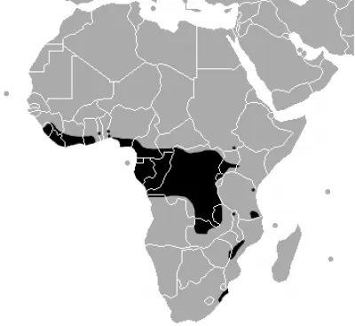 Gaboon Viper habitat map
