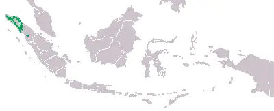 Орангутан суматранський карта середовища проживання