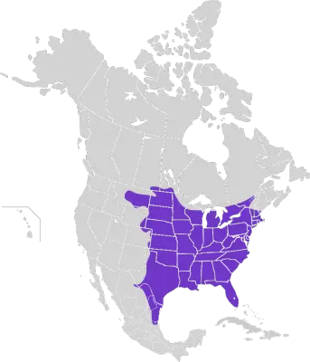 Eastern Screech Owl habitat map