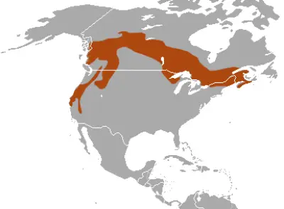 Fisher habitat map