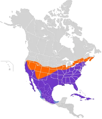 Northern Mockingbird habitat map