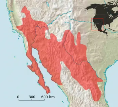 Merriam's Kangaroo Rat habitat map