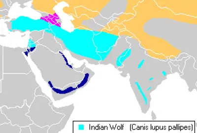 Indian Wolf habitat map